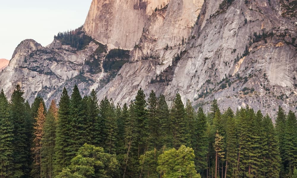 Amerika'nın En Güzel Sahillerinde Mükemmel Bir İş Fırsatı Sizi Bekliyor!
